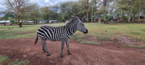 Africa Safari Lake Manyara located inside a wildlife park